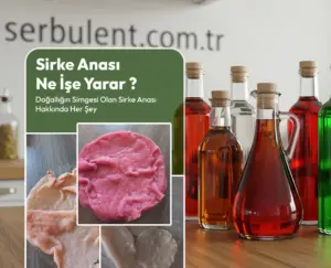 sirke anası ne işe yarar