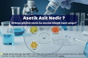 asetik asit nedir
